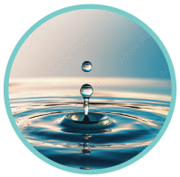 water quality analysis system